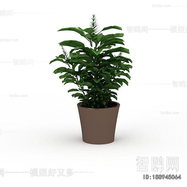 Modern Desktop Plant