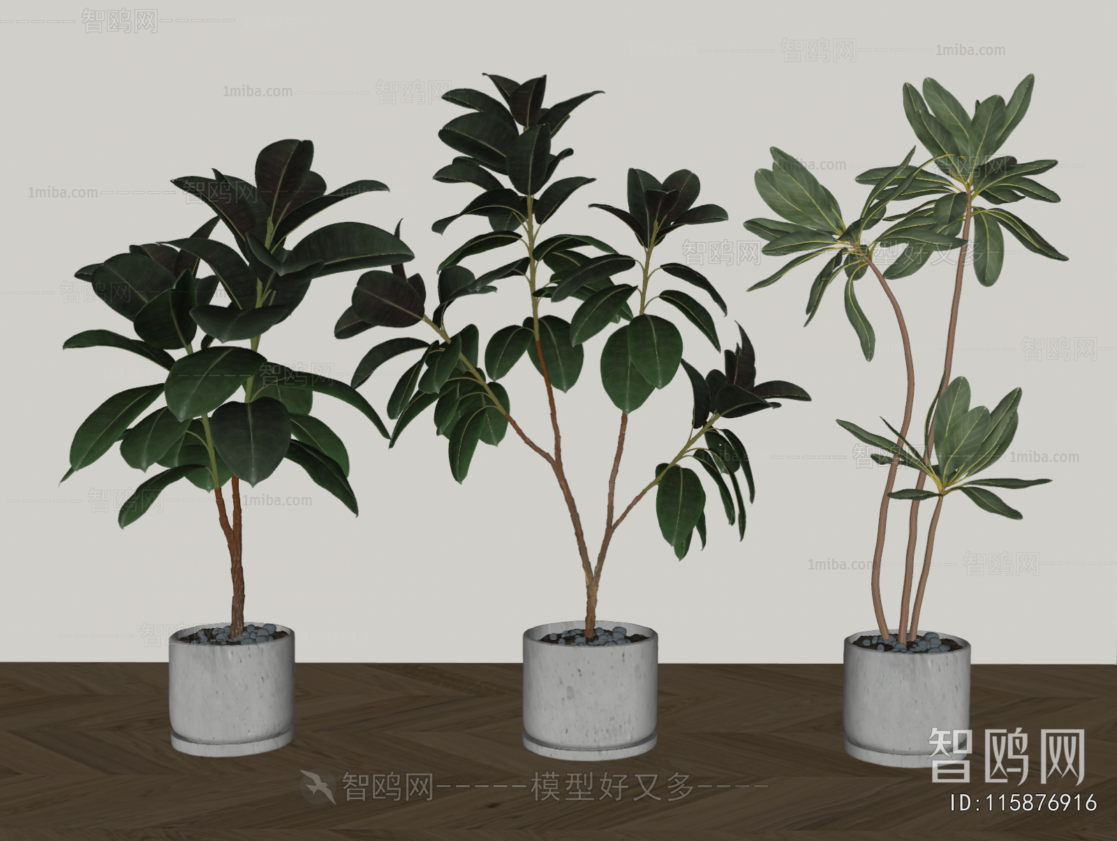 Modern Ground Green Plant Potted Plants