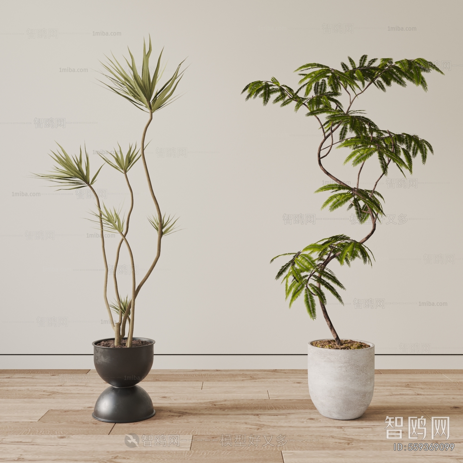 Modern Ground Green Plant Potted Plants