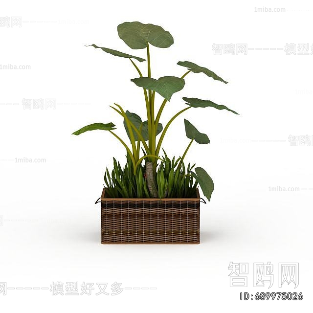 Modern Flower Bed, Flower Bowl, Flower Box