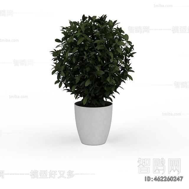 Modern Potted Green Plant