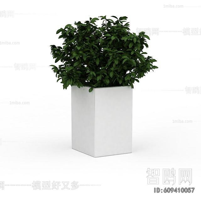 Modern Flower Bed, Flower Bowl, Flower Box