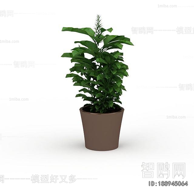 Modern Desktop Plant