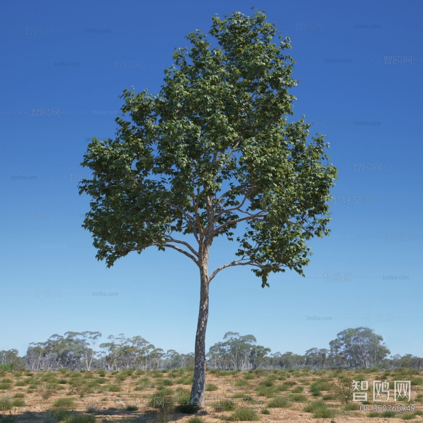 Modern Tree