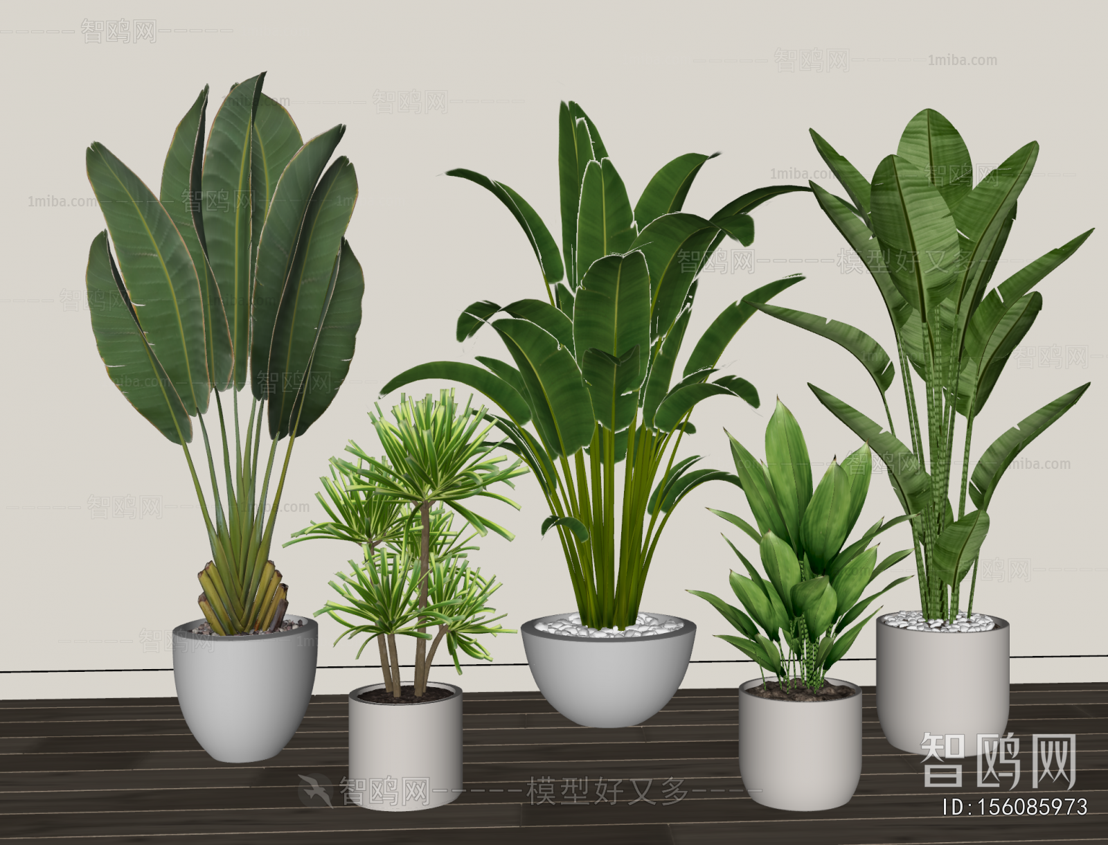 Modern Ground Green Plant Potted Plants