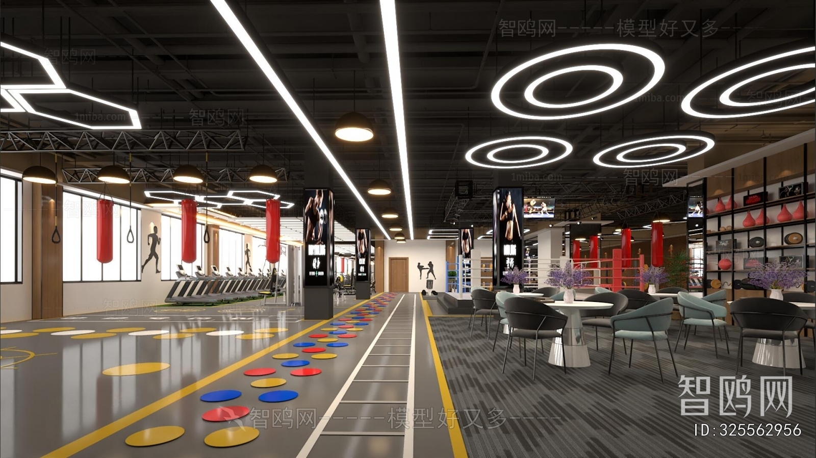 Industrial Style Gym