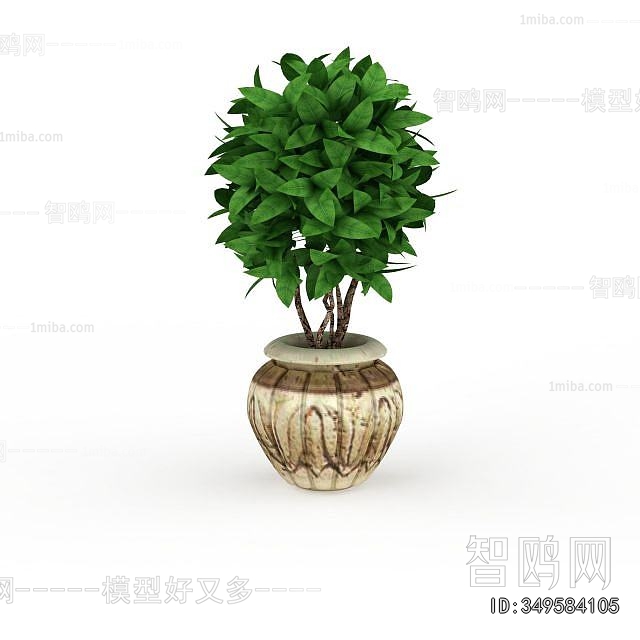 Modern Potted Green Plant