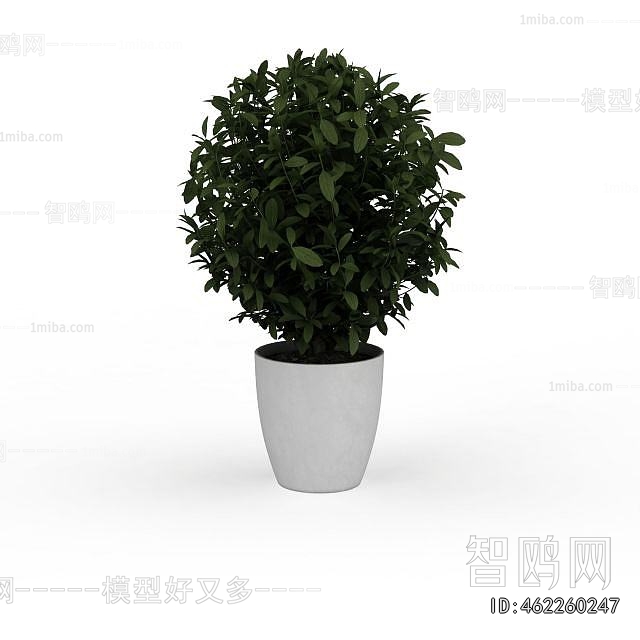 Modern Potted Green Plant