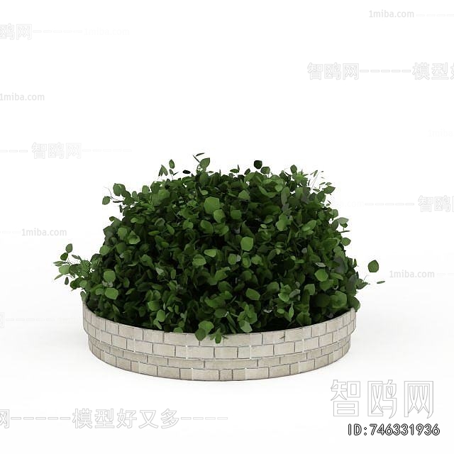 Modern Shrubbery