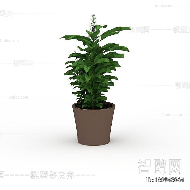 Modern Desktop Plant