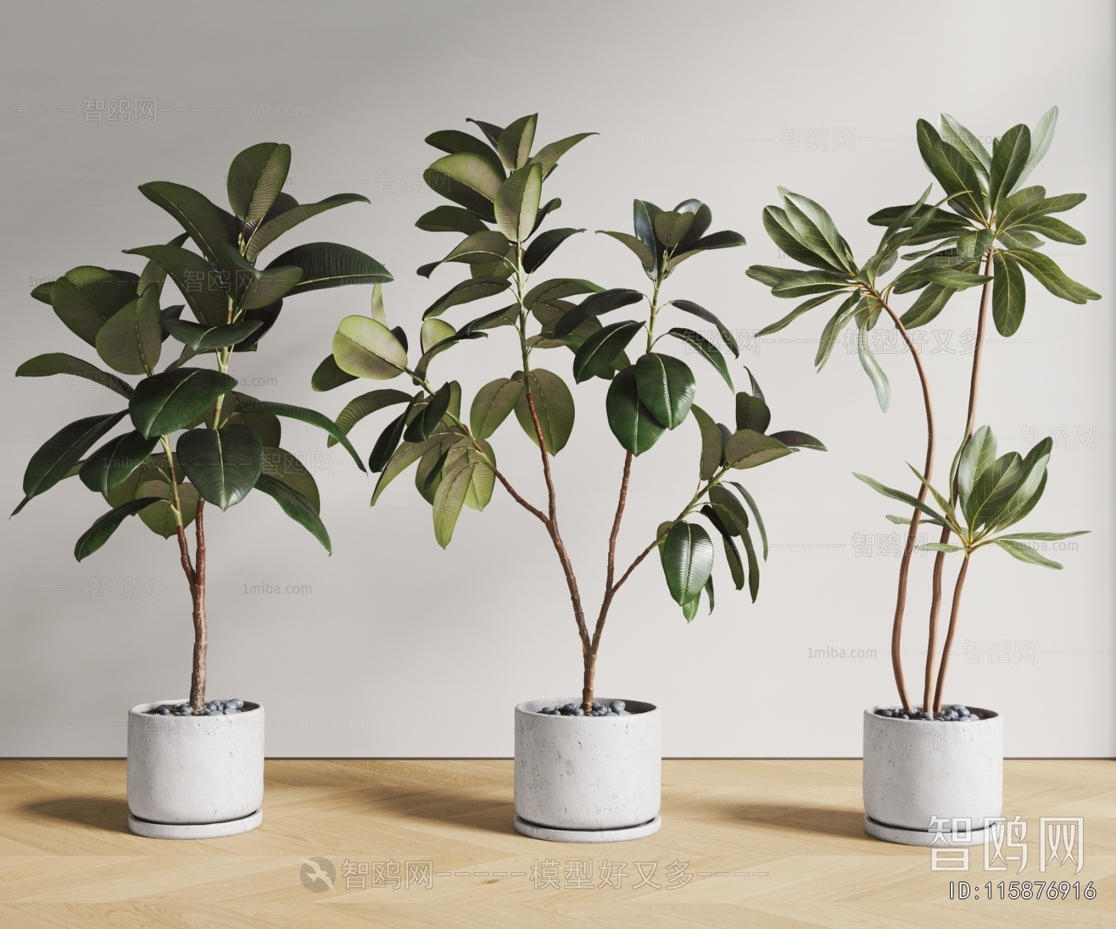 Modern Ground Green Plant Potted Plants