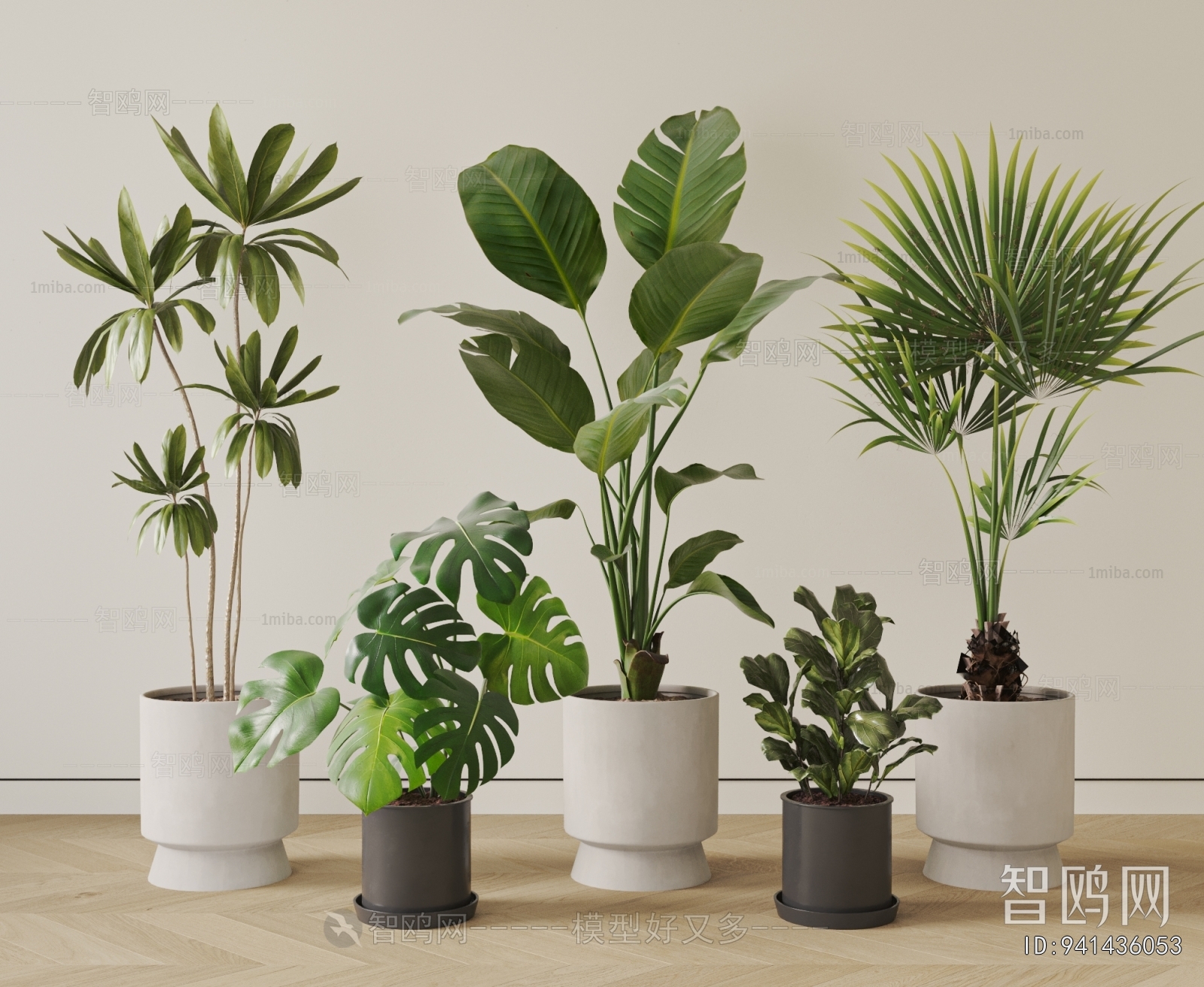 Modern Ground Green Plant Potted Plants