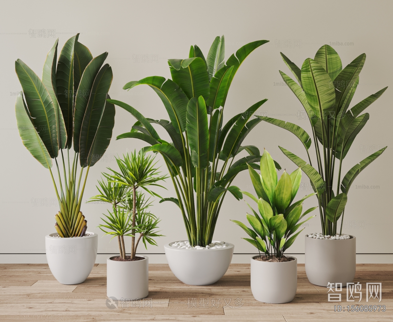 Modern Ground Green Plant Potted Plants