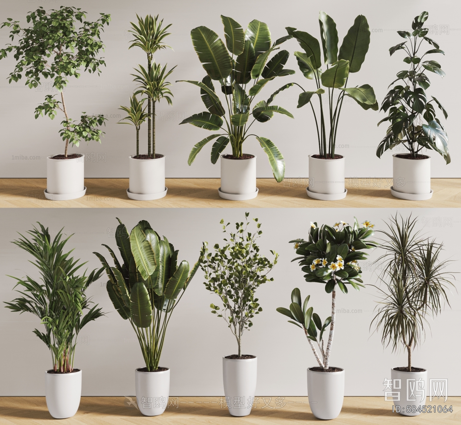 Modern Ground Green Plant Potted Plants