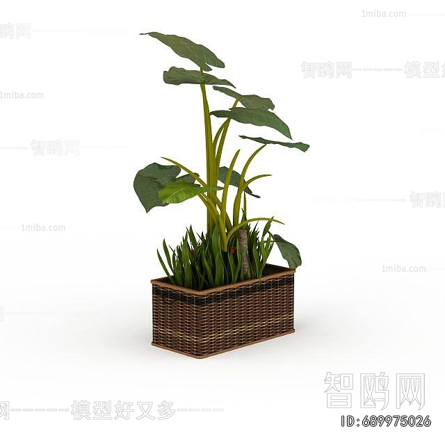 Modern Flower Bed, Flower Bowl, Flower Box