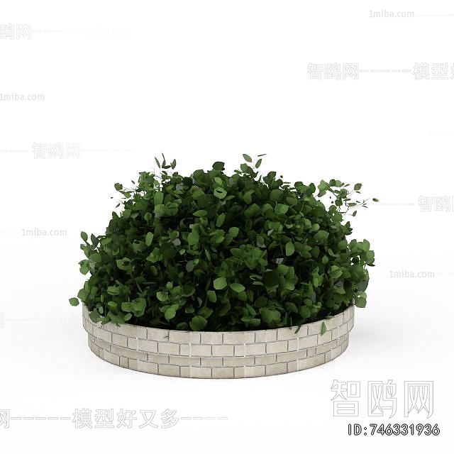 Modern Shrubbery