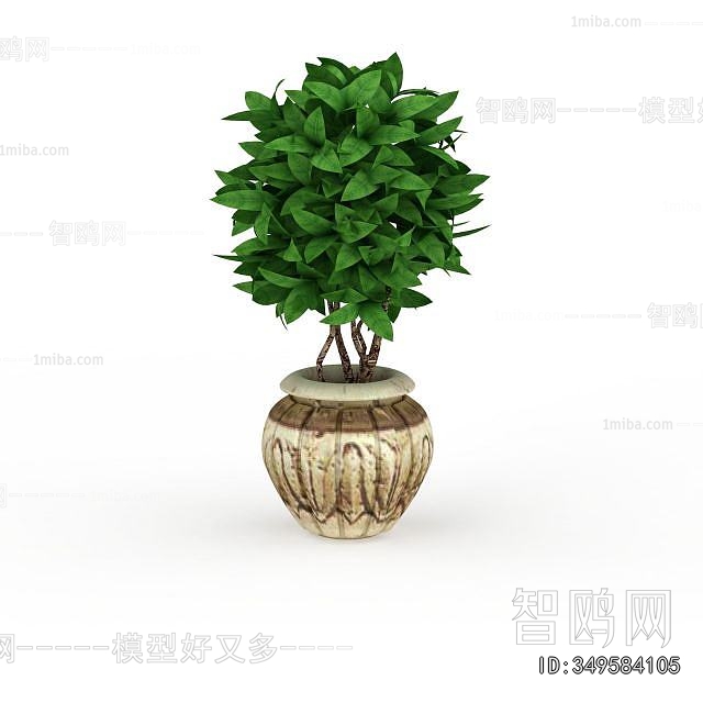 Modern Potted Green Plant