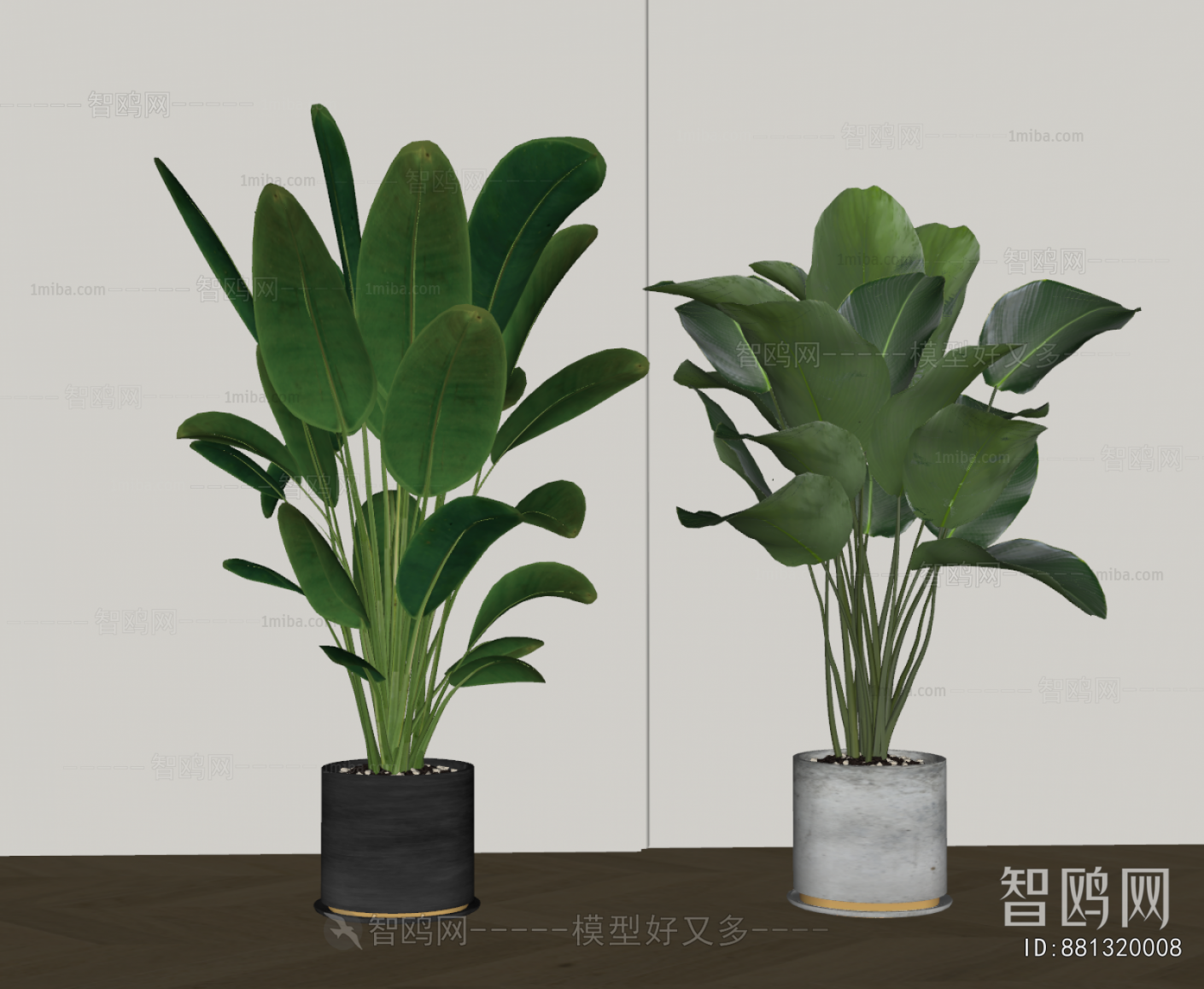 Modern Ground Green Plant Potted Plants