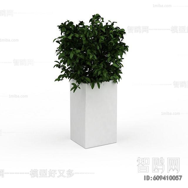 Modern Flower Bed, Flower Bowl, Flower Box