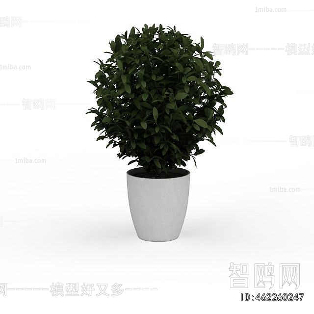 Modern Potted Green Plant