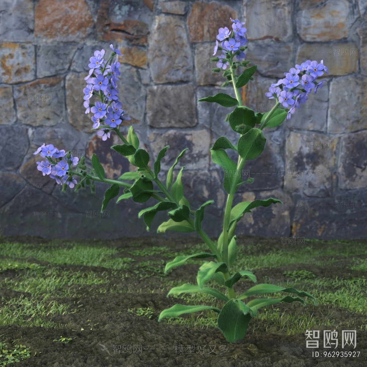 Modern Flowers And Grass