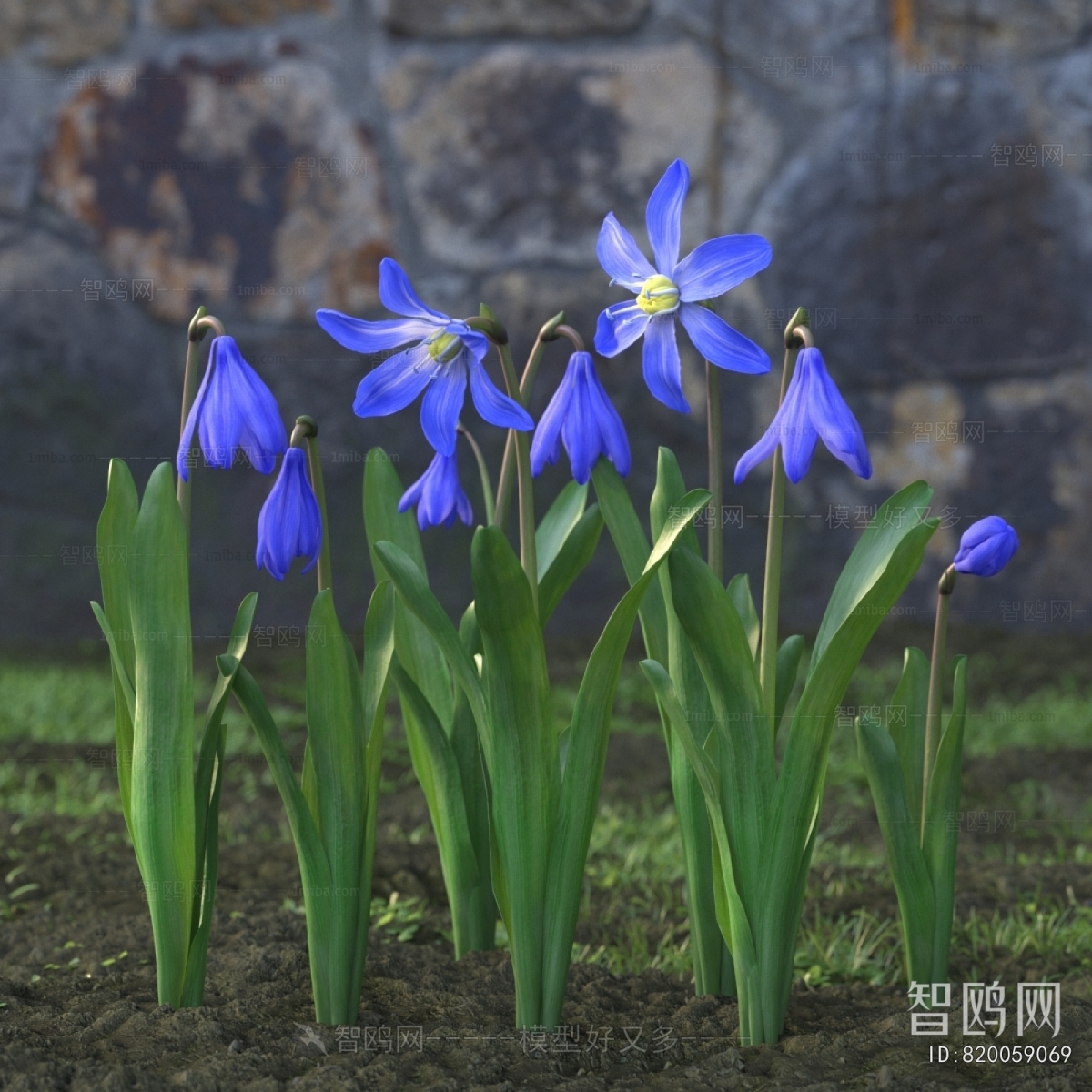 Modern Flowers And Grass