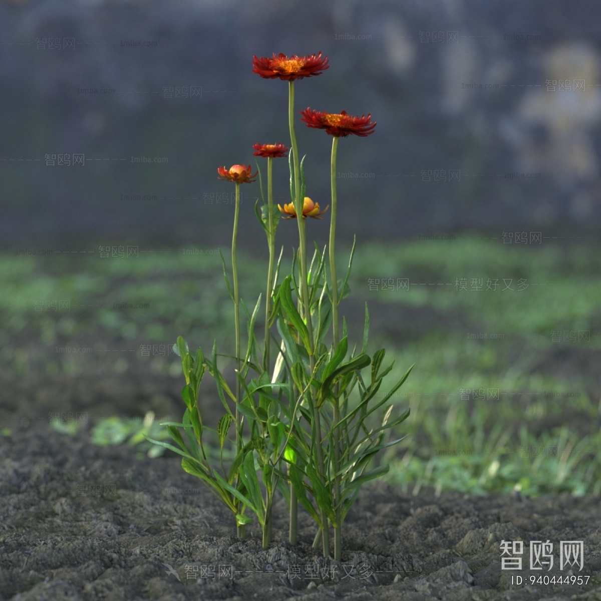 Modern Flowers And Grass