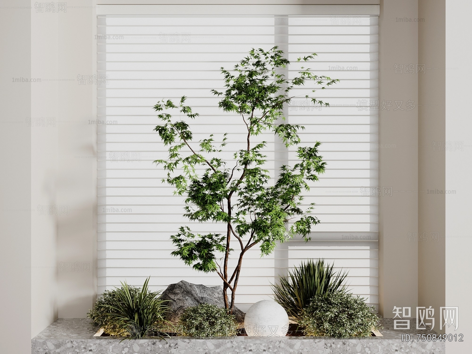 Modern Plant Landscaping