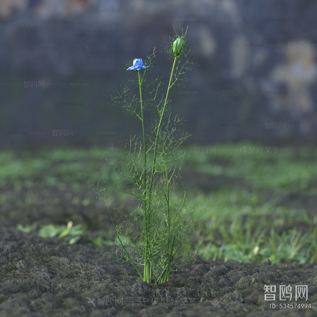 Modern Flowers And Grass