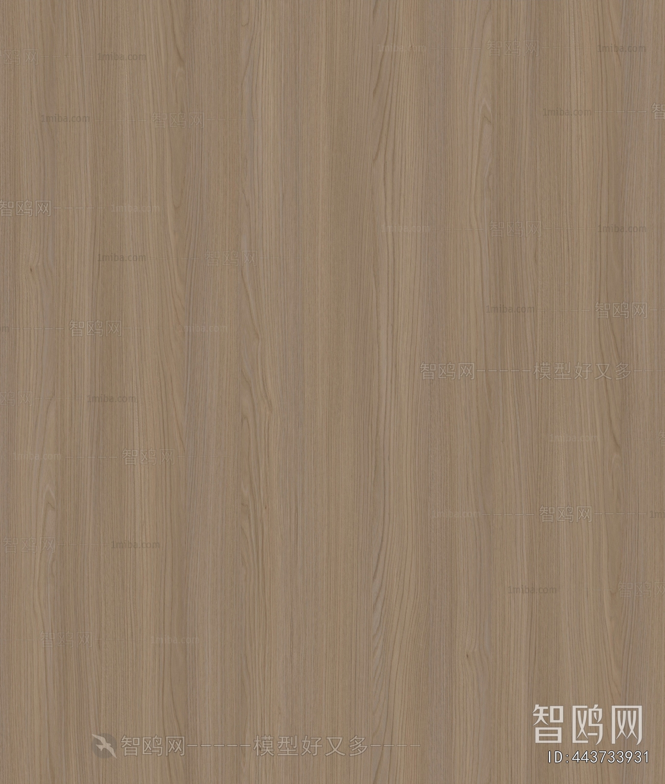 Wood Texture