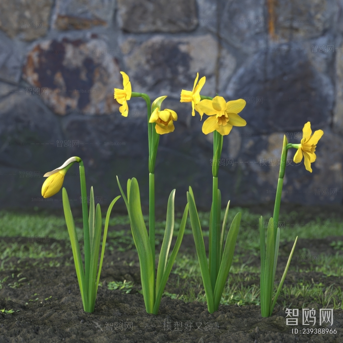 Modern Flowers And Grass