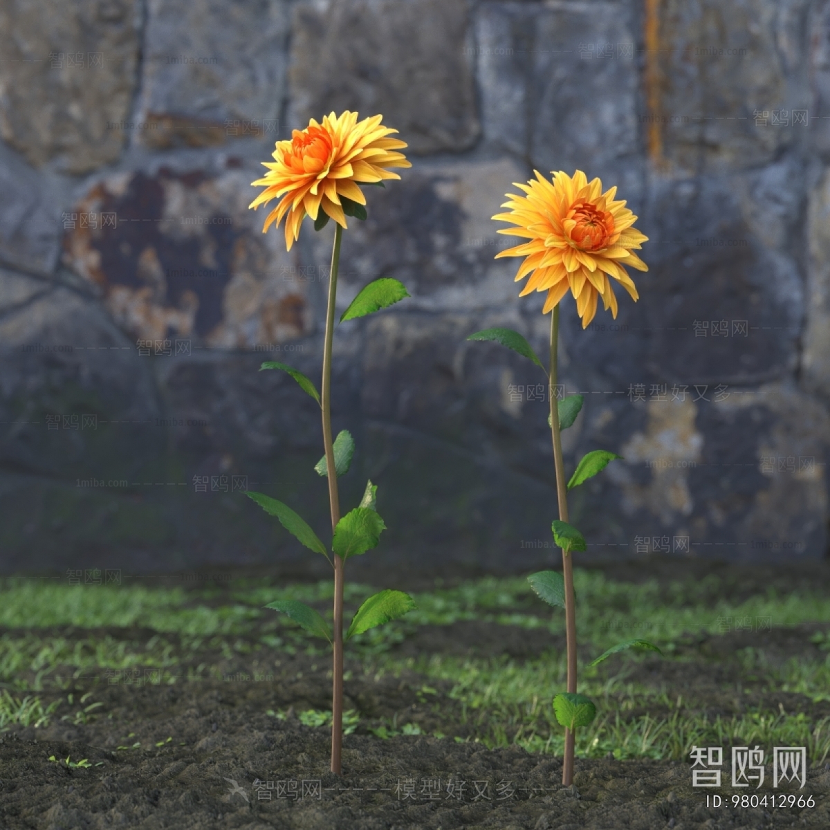 Modern Flowers And Grass