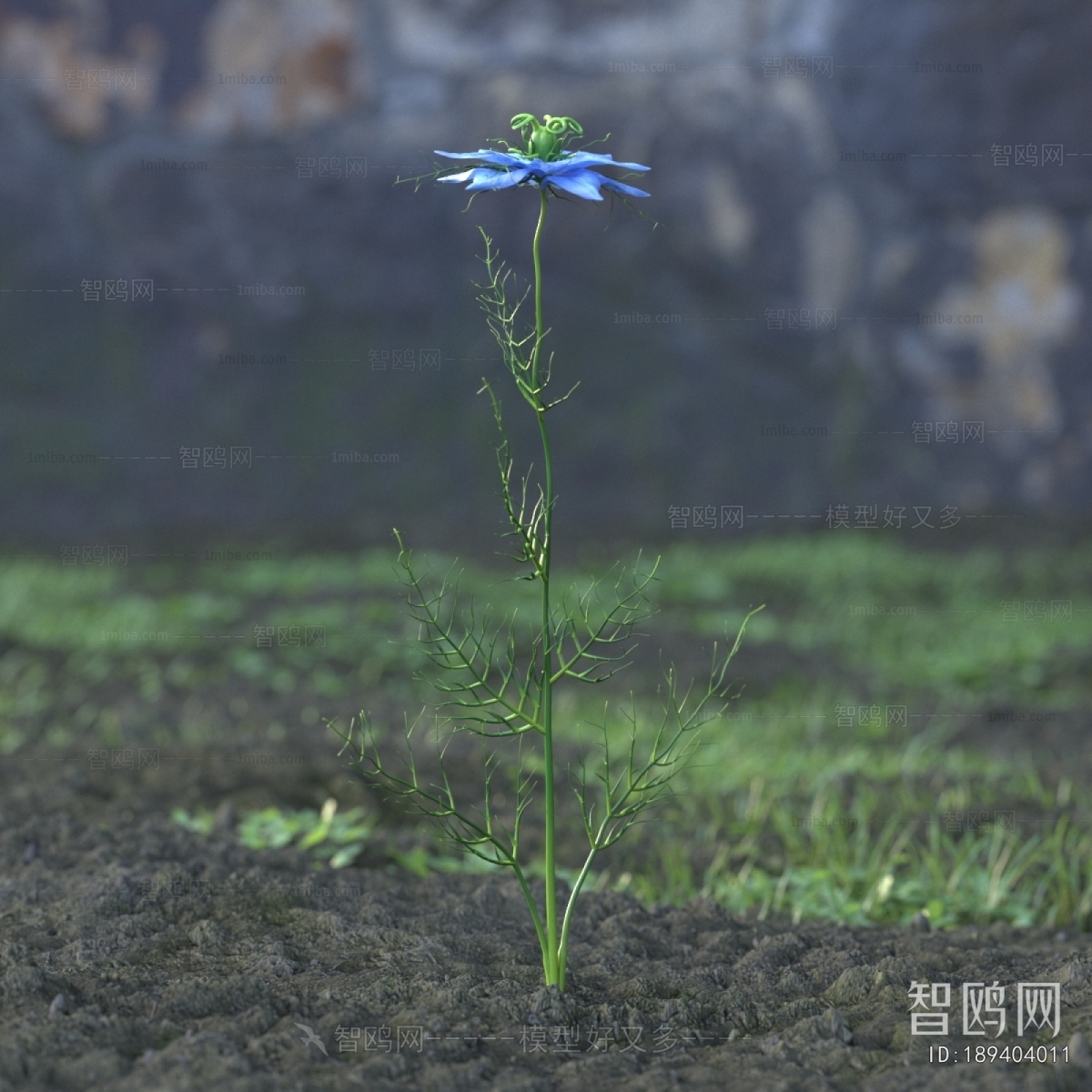 Modern Flowers And Grass