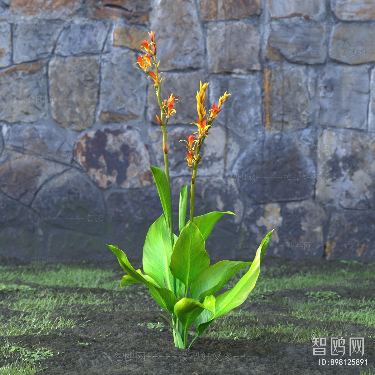 Modern Flowers And Grass