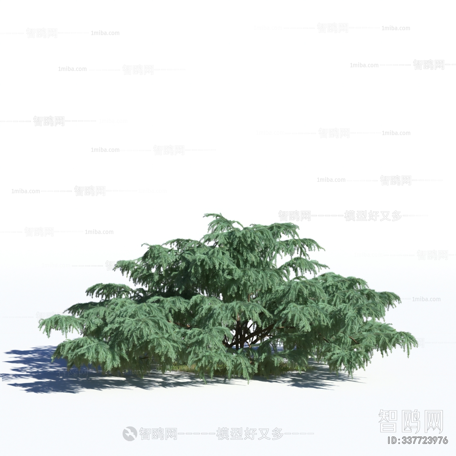 Modern Tree