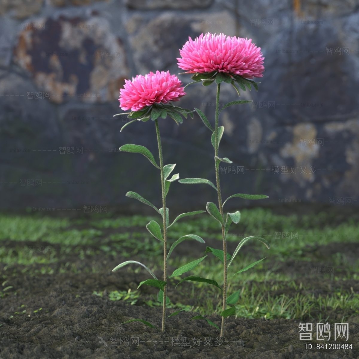 Modern Flowers And Grass