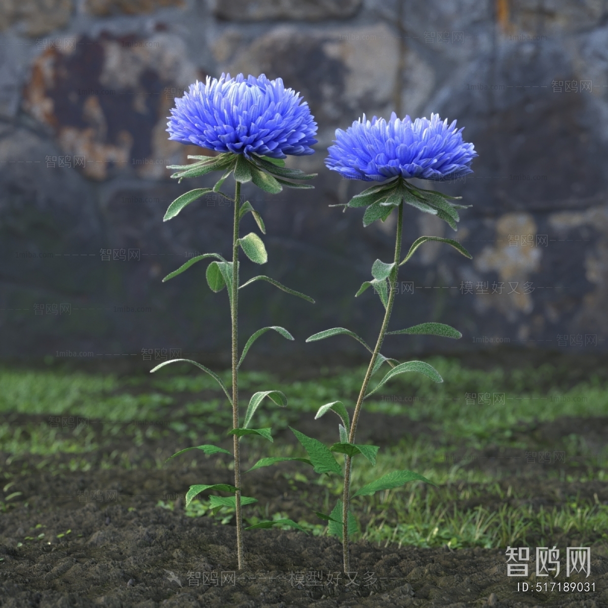 Modern Flowers And Grass