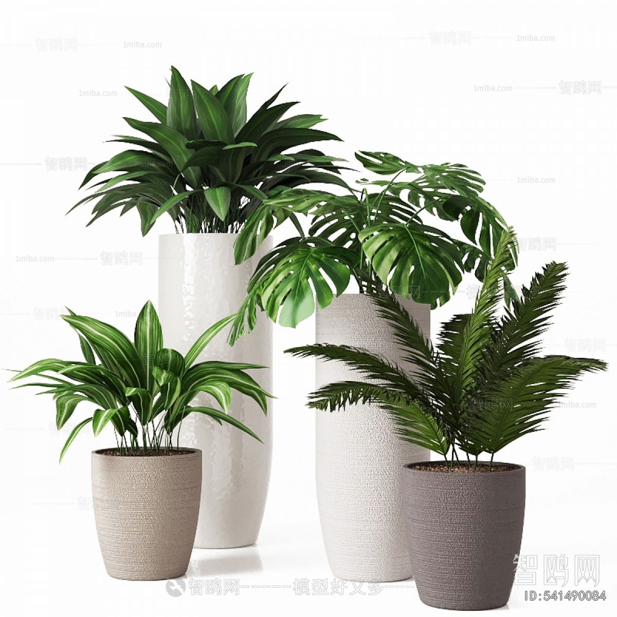 Modern Ground Green Plant Potted Plants