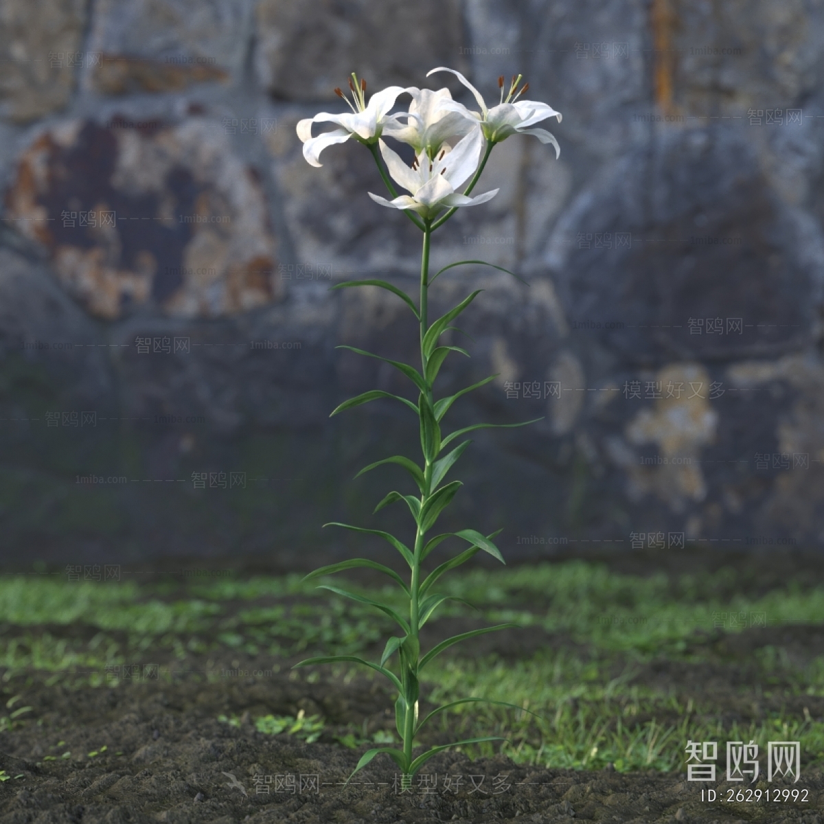 Modern Flowers And Grass