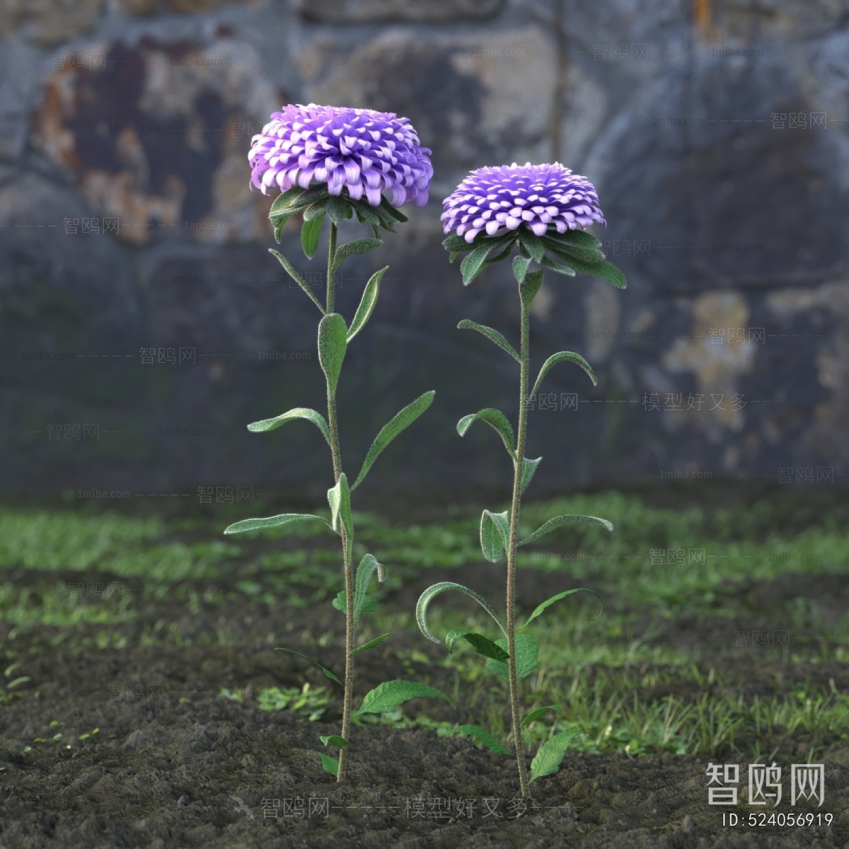 Modern Flowers And Grass