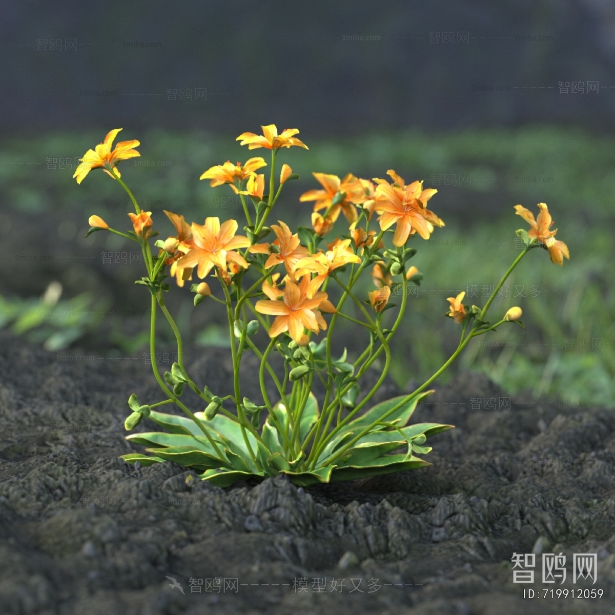 Modern Flowers And Grass