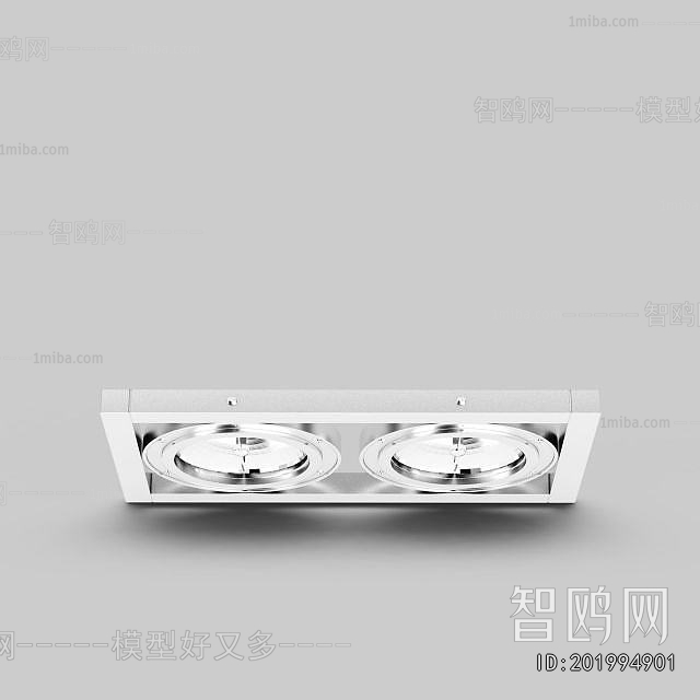 Modern Ceiling Ceiling Lamp