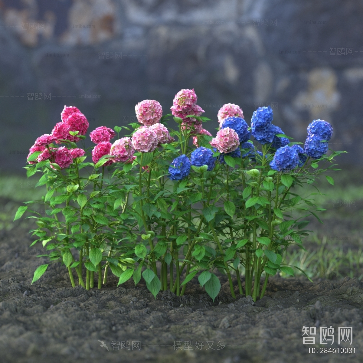 Modern Flowers And Grass