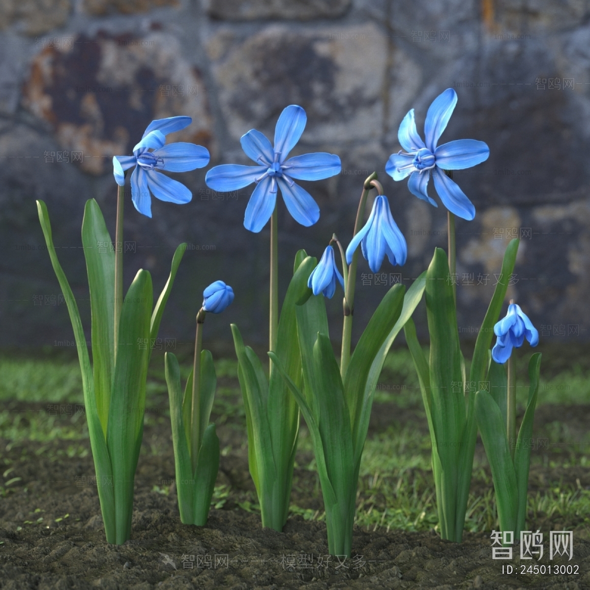 Modern Flowers And Grass