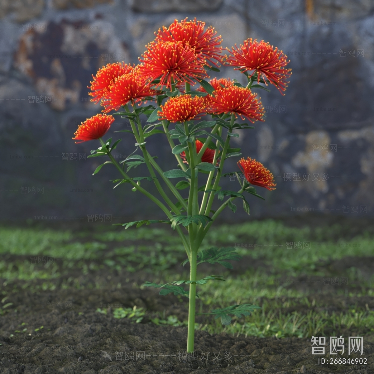 Modern Flowers And Grass