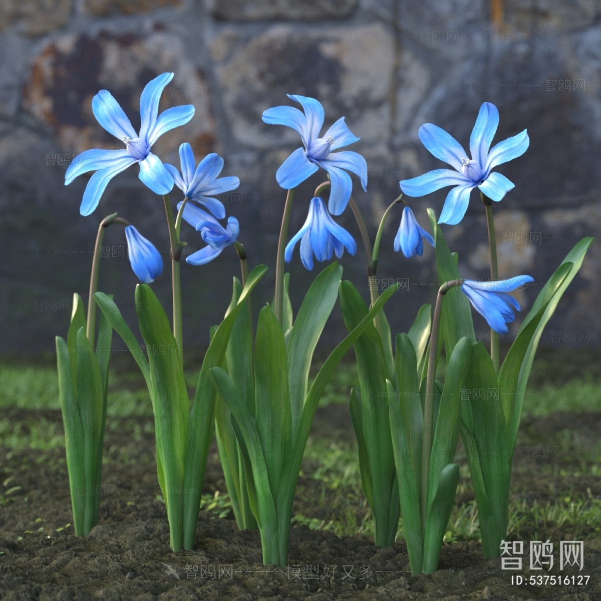 Modern Flowers And Grass