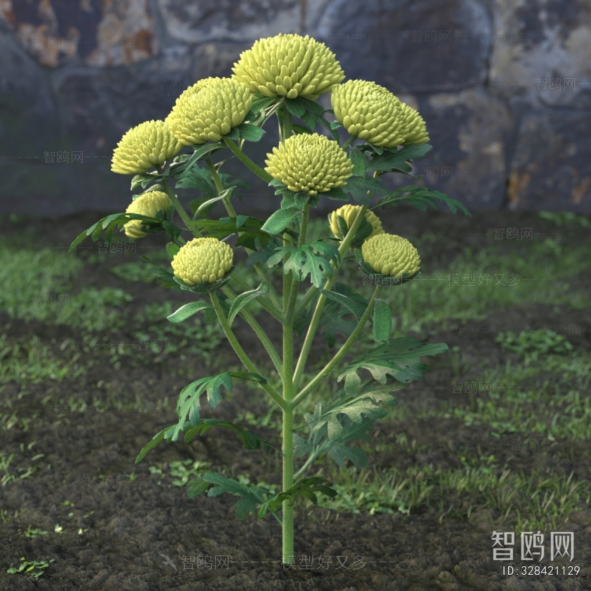 Modern Flowers And Grass