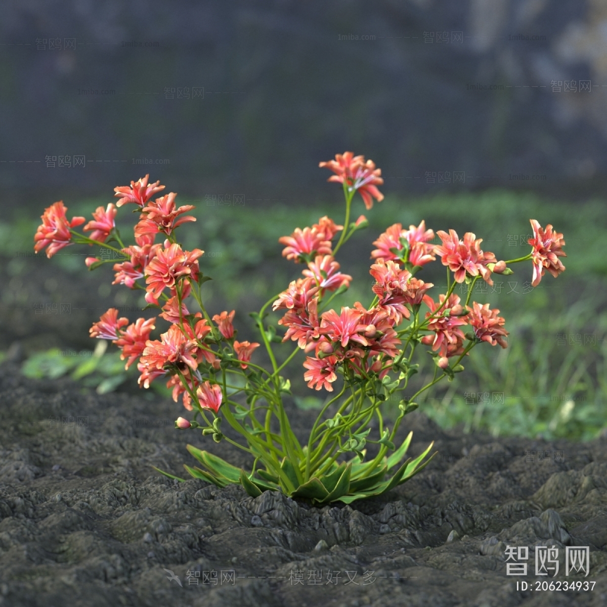 Modern Flowers And Grass