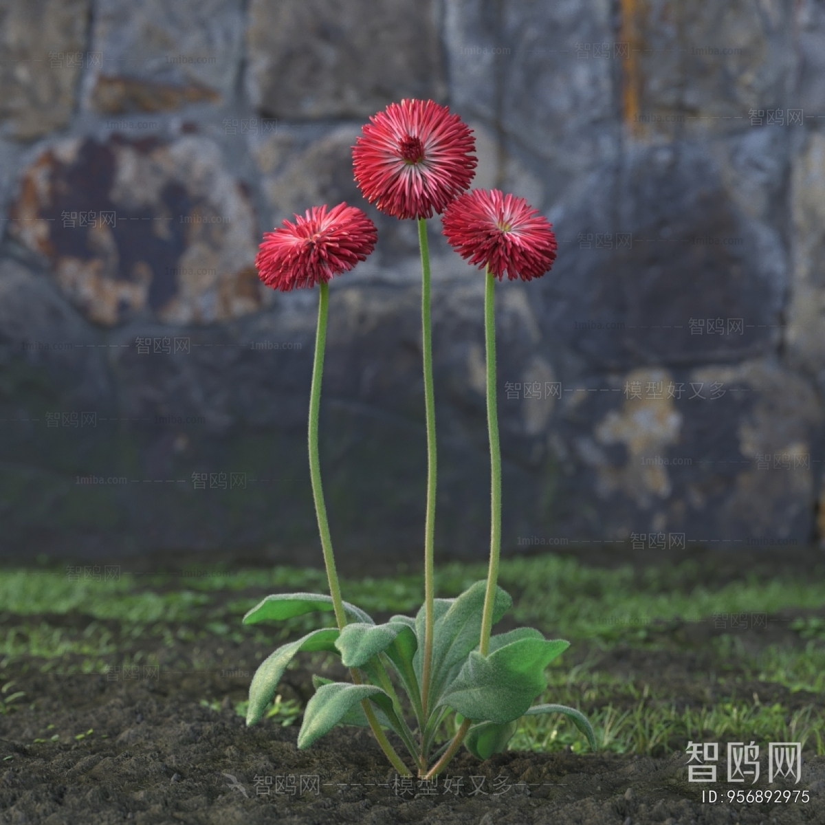 Modern Flowers And Grass