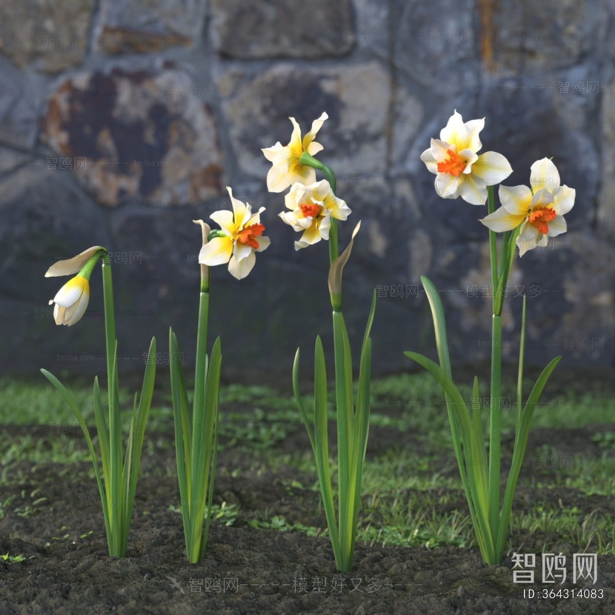 Modern Flowers And Grass